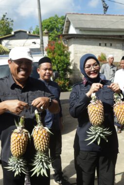 Wali Kota Saparudin dan Kakanwil Imipas Babel Luncurkan Dodol Nanas Tuatunu, Tembus Pasar Jawa Barat