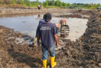 Warga Binaan Lapas Pangkalpinang Berkarya Lewat Cetak Sawah di Kelurahan Binaan