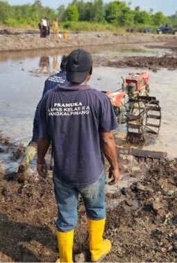 Warga Binaan Lapas Pangkalpinang Berkarya Lewat Cetak Sawah di Kelurahan Binaan
